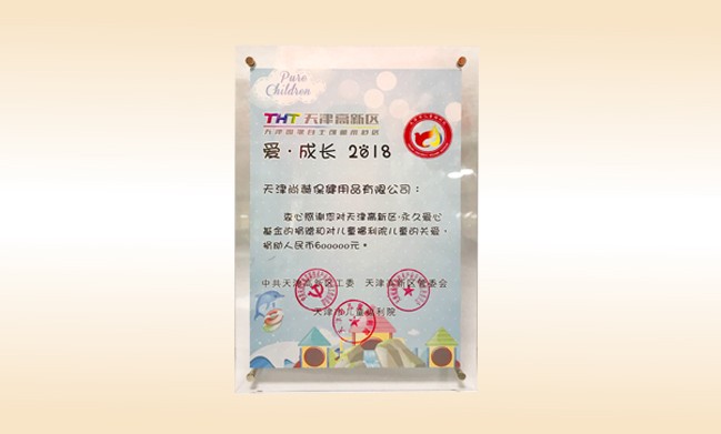 2018年6月-尊龙体育国际(中国)科技有限公司荣获-天津高新区·永久爱心基金捐赠证书